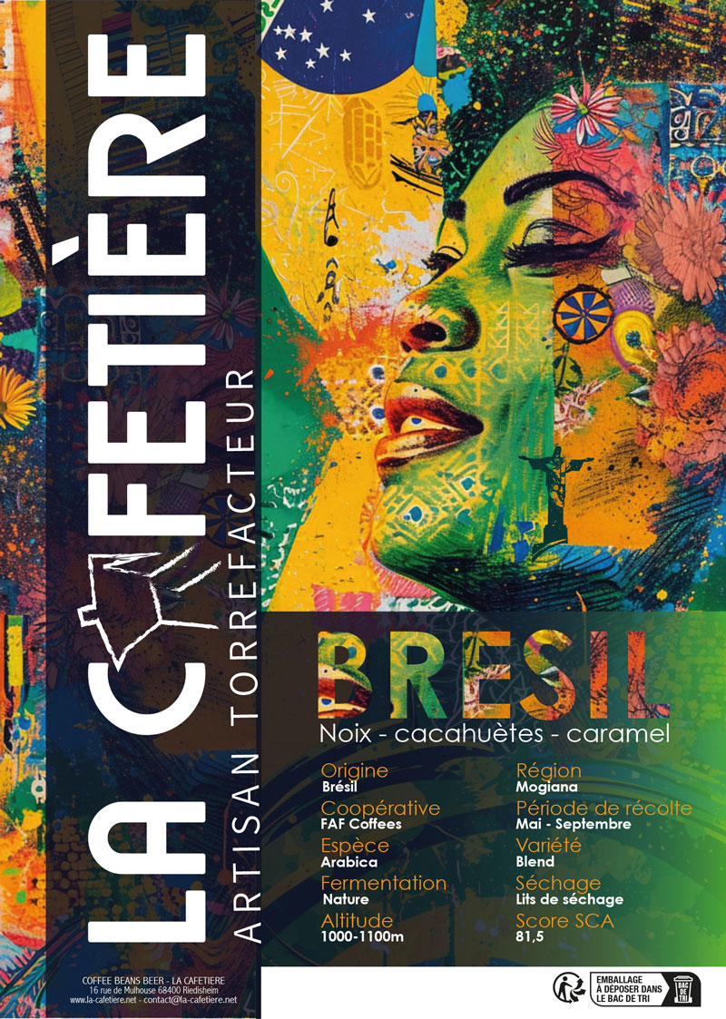 BRAZIL - PRO
