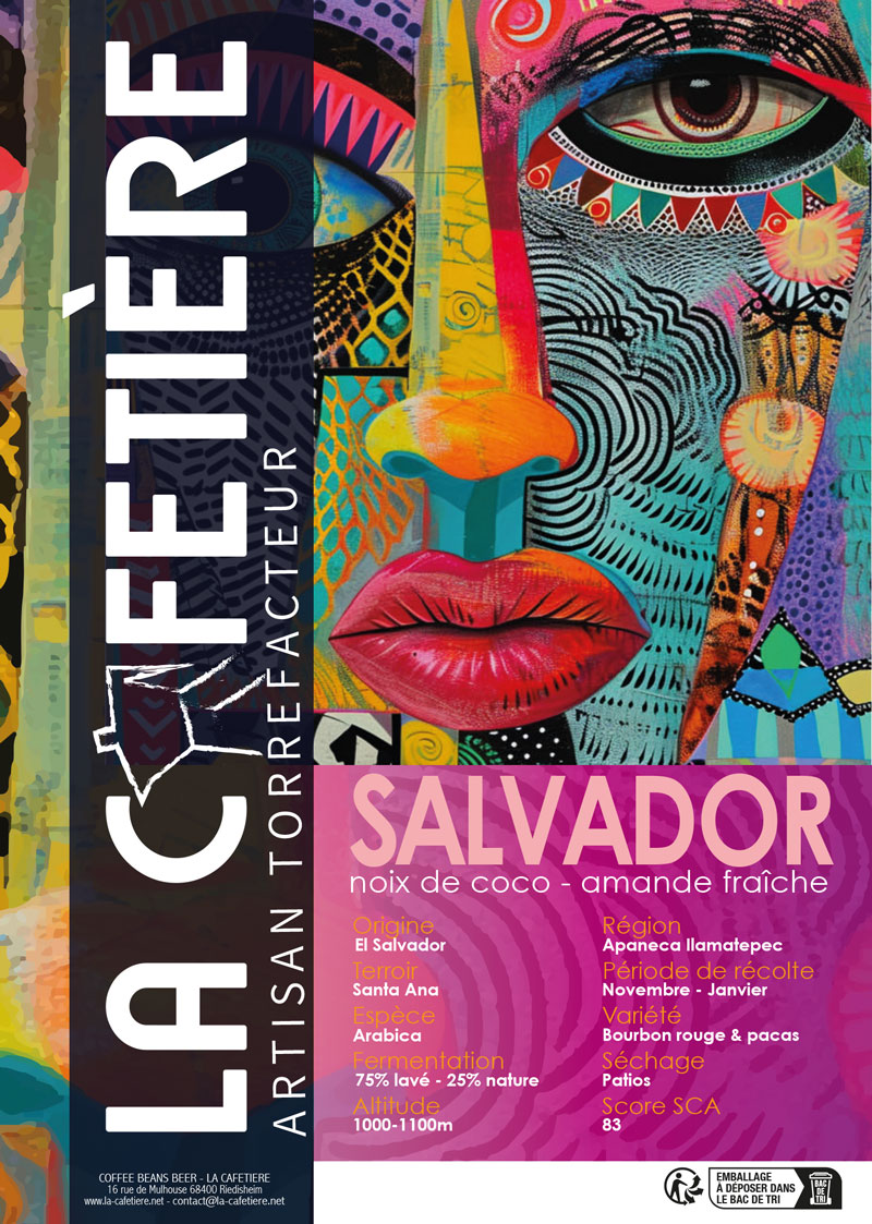 SALVADOR _ PRO