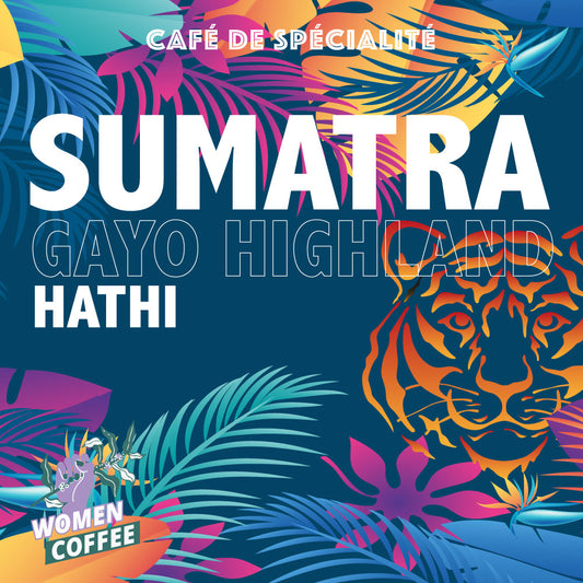 SUMATRA - GAYO HIGHLAND - HATHI
