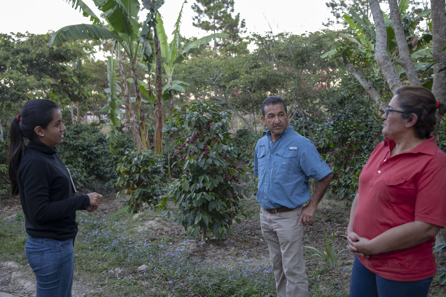 HONDURAS MINI GRANJA - Bio