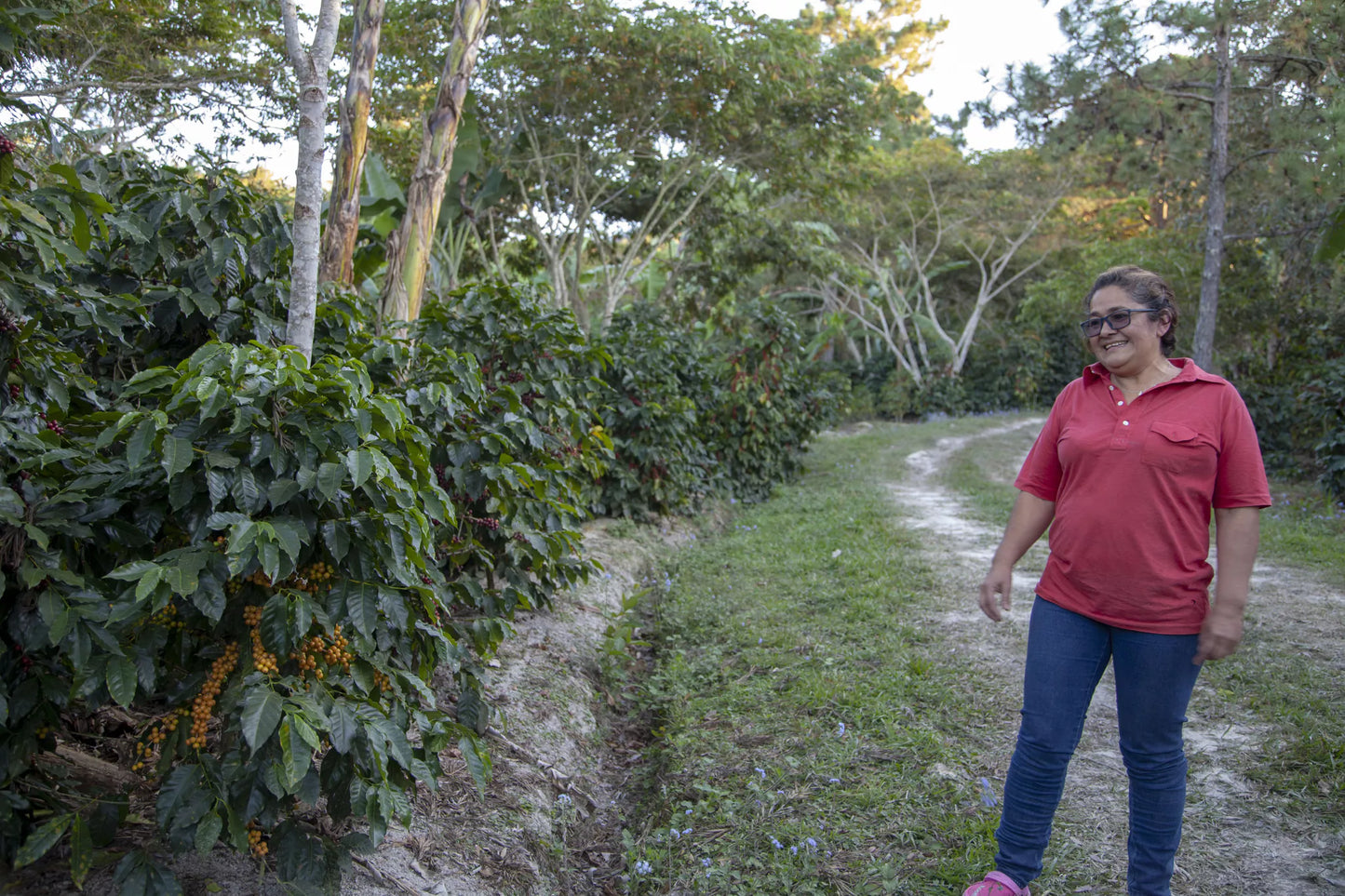 HONDURAS MINI GRANJA - Bio