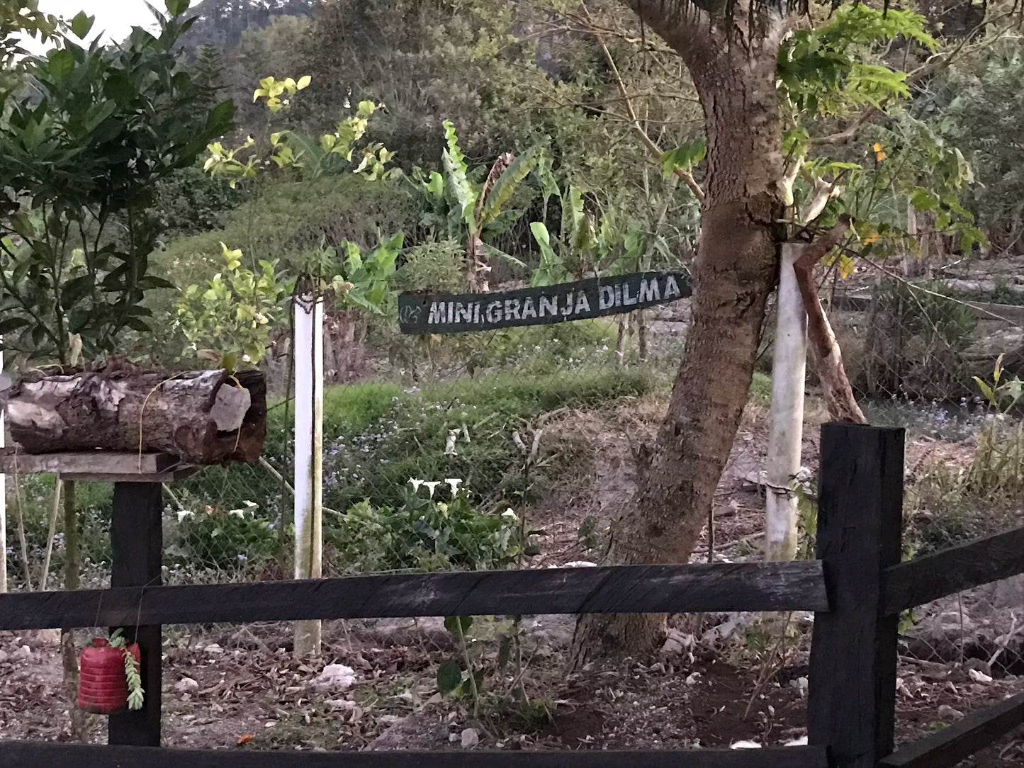 HONDURAS MINI GRANJA - Bio