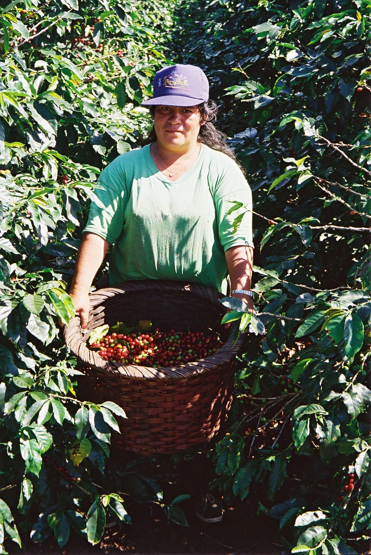 COSTA RICA TICO