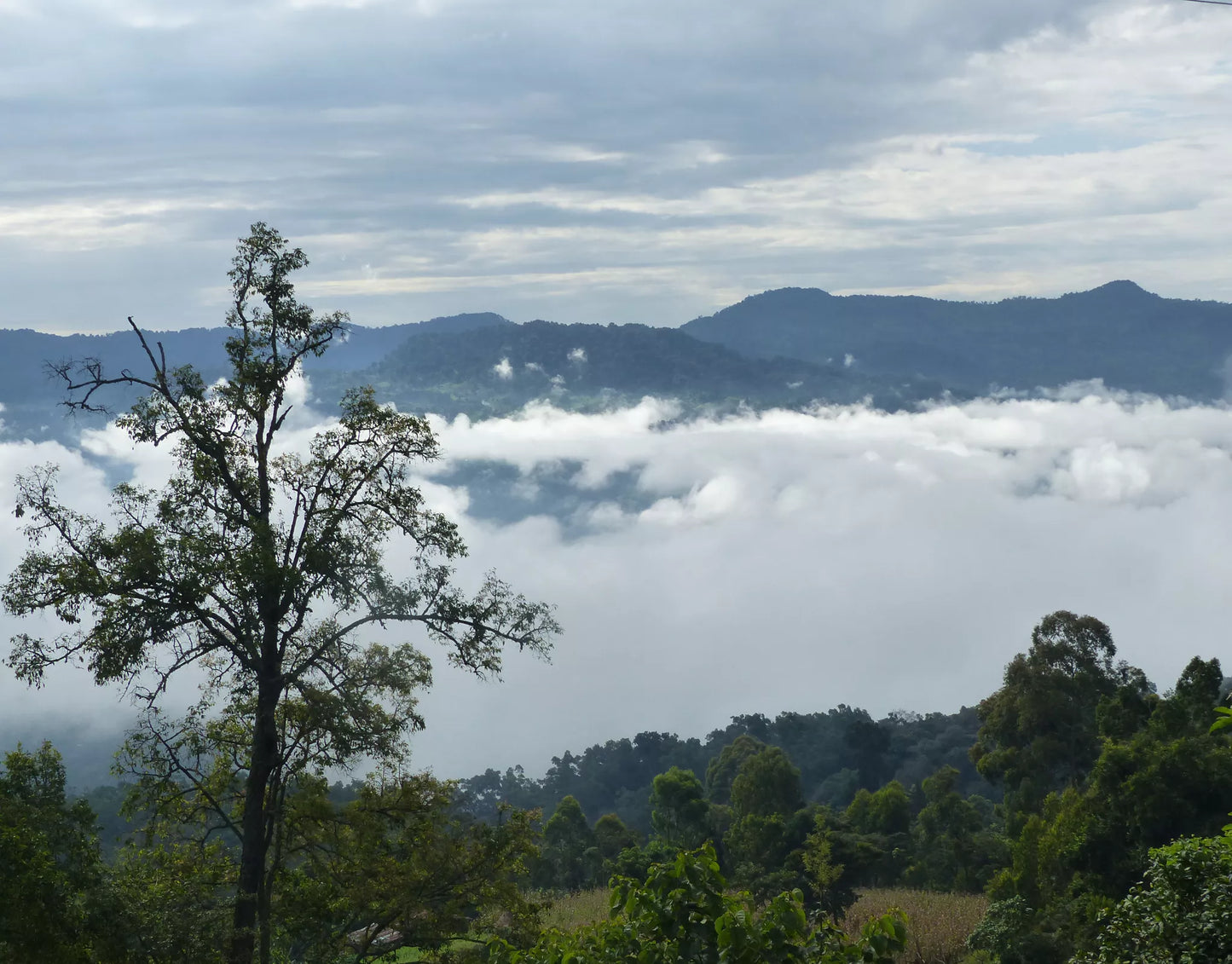 ETHIOPIA - KAFFA