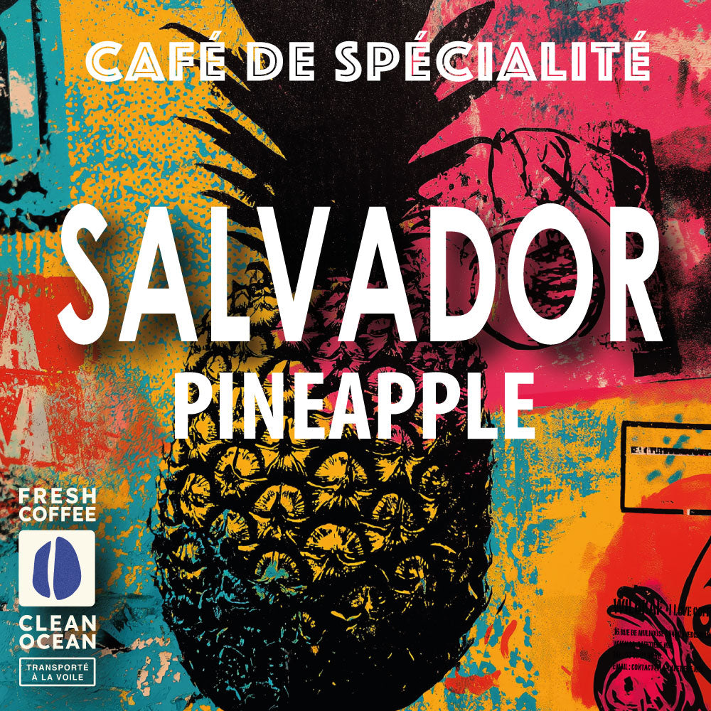 SALVADOR PINEAPPLE Spécial Filtre - V60 - Chemex
